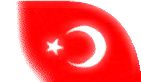 T�RKİYE